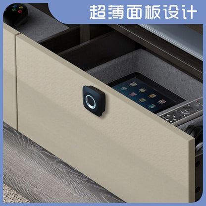 Fingerprint Lock Smart Cabinet Locks Biometric Keyless Furniture Drawer Cabinet Wardrobe Fingerprint Locks for Drawer Cabinet